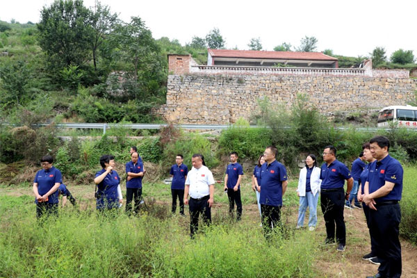 专家组在北柴胡生态种植模式试验基地展开讨论